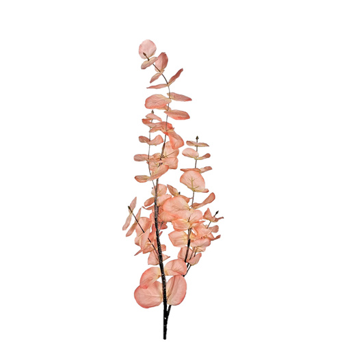 Eucalyptus Branch FE050-OR