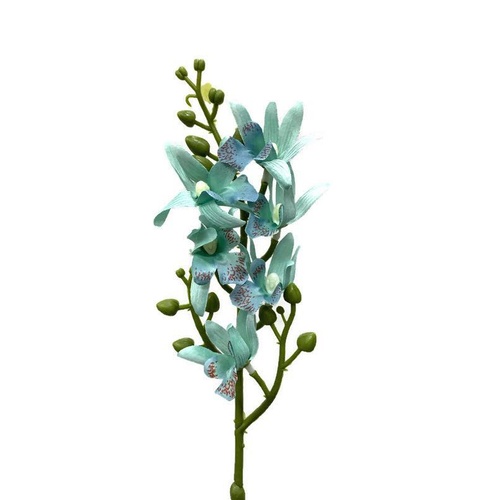 Mini Dendrobium Orchid FE051-BL