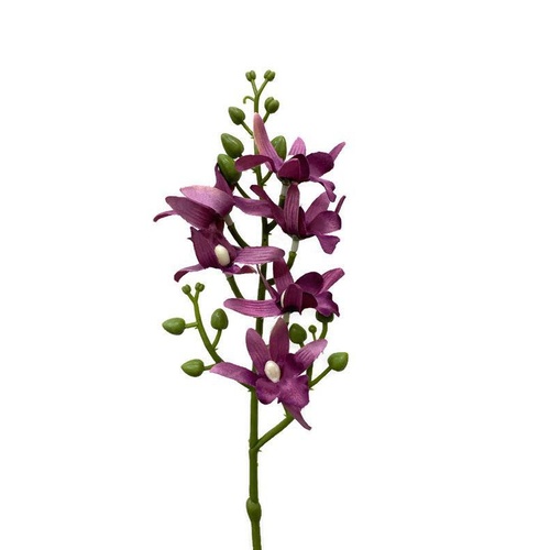 Mini Dendrobium Orchid FE051-PUR