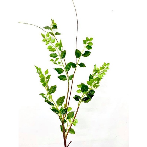 Leaf Brunch FE052