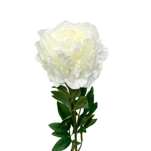 Large Peony FE053-WH