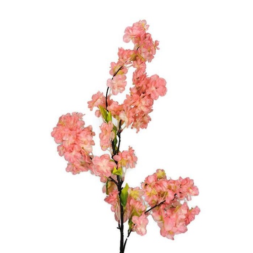 Peach Cherry Blossom FE075