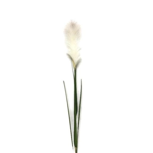 Single Pampas Grass FF001-WH