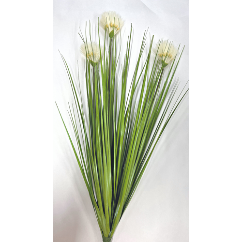 Pom Pom Grass bunch x 3 heads FF004-WH