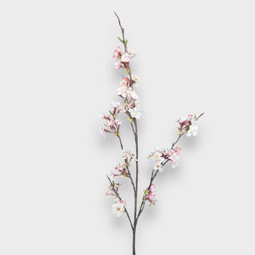 Cherry Blossom Branch FI0168CP