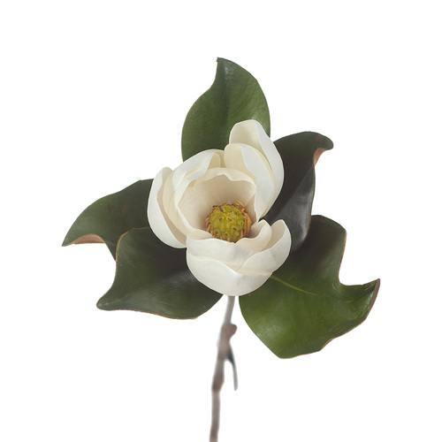 Real Touch Magnolia FI0189WW