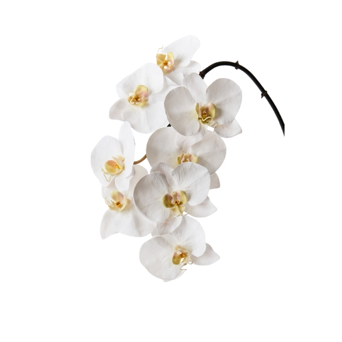 Real Touch Phalaenopsis Orchid FI0208WW
