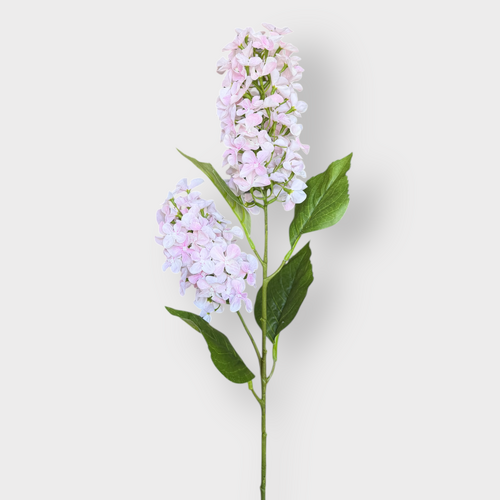 Hydrangea Cone Spray FI10407LP