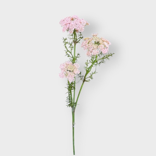 Queen Anne Lace Spray FI10410PK