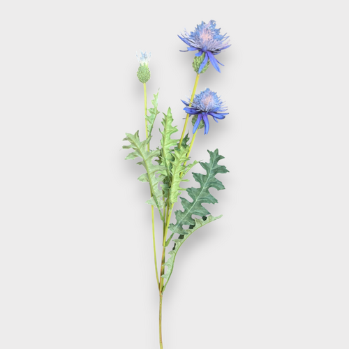 Thistle Spray FI10442DGO