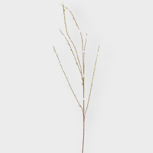 Pussy Willow FI10848NA