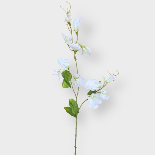 Sweet Pea Spray FI10950WH
