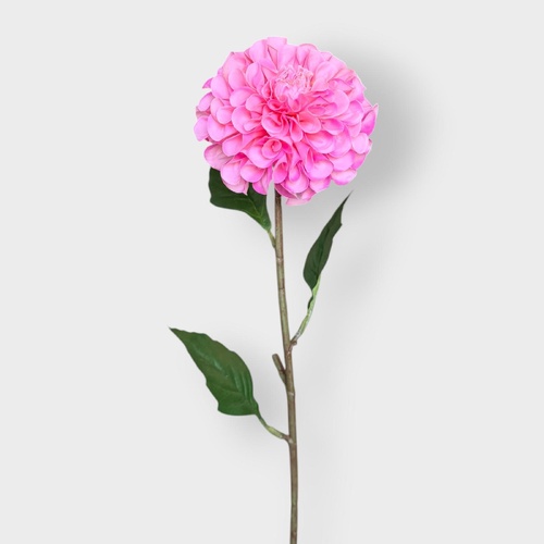 Dahlia Pom Pom FI10957HP