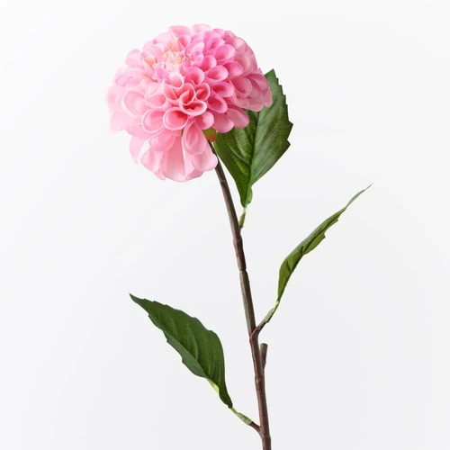Dahlia Pom Pom FI10957HP
