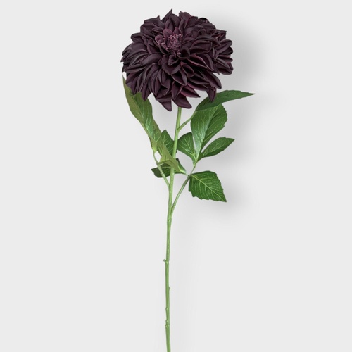 Pompom Dahlia FI10958BKPL