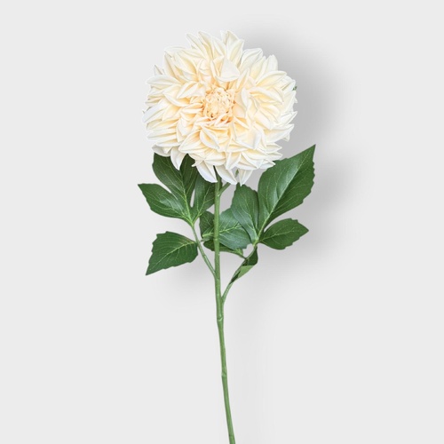 Pompom Dahlia FI10958CR