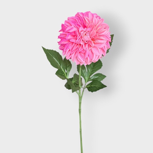 Pompom Dahlia FI10958HP