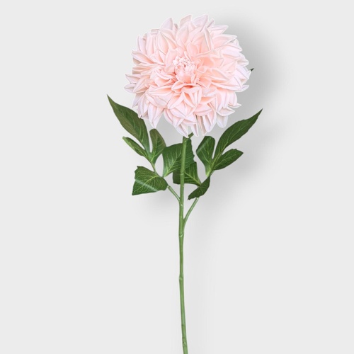Pompom Dahlia FI10958S P