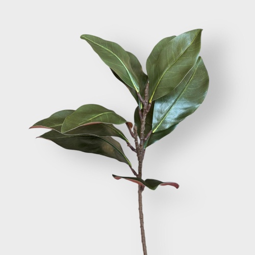 Magnolia Leaf Spray FI11211GR