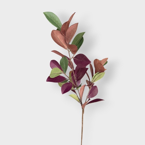Pomegranate Leaf Spray FI11227BG