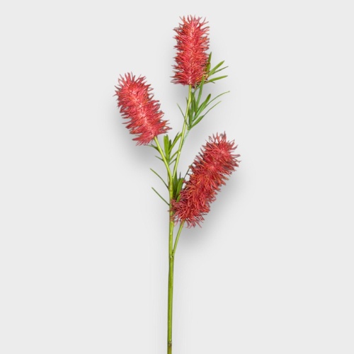 Bottlebrush Spray FI11230RD