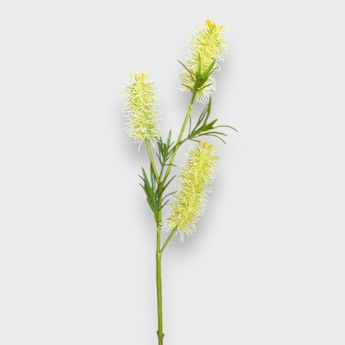 Bottlebrush Spray FI11230WG