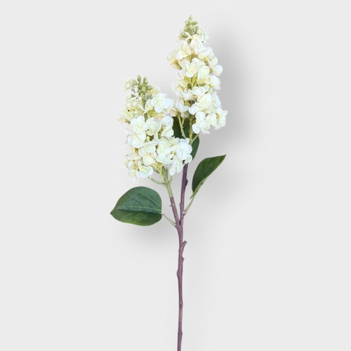 Lilac Spray FI11236CR
