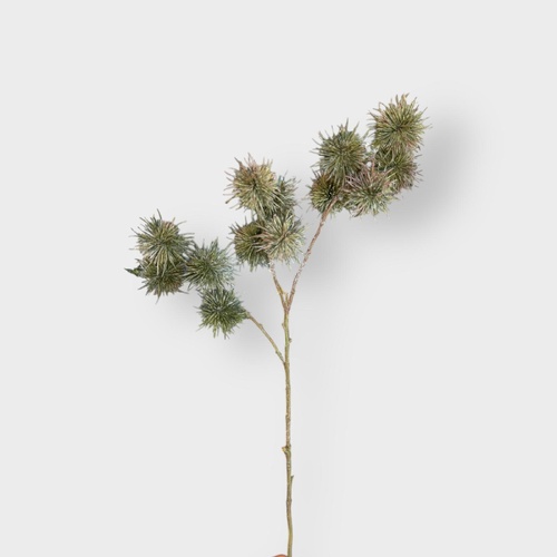 Thistle Globe Spray FI11274OL