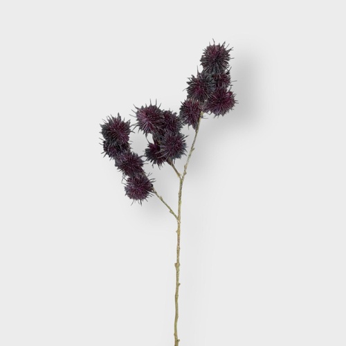 Thistle Globe Spray FI11274PL