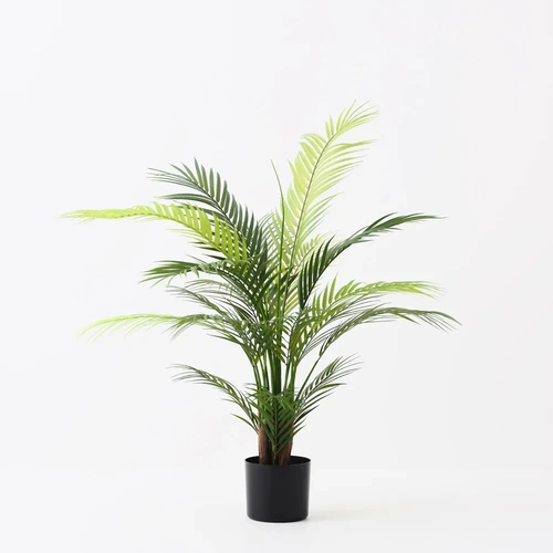Palm Areca 91CM FI11296GR 