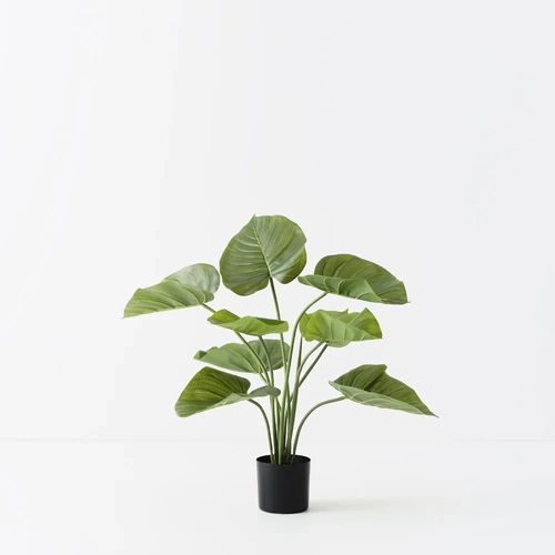 Taro Plant 60CM FI11427GR