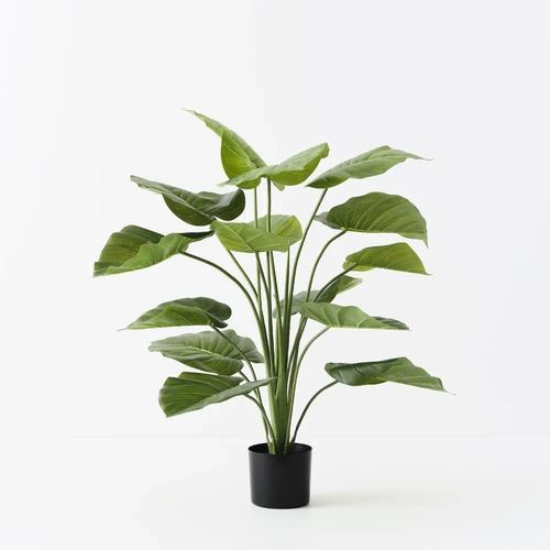 Taro Plant 90CM FI11428GR