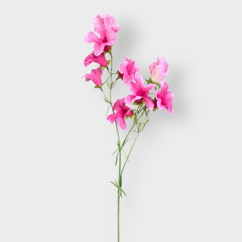 Petunia Spray FI11453HP