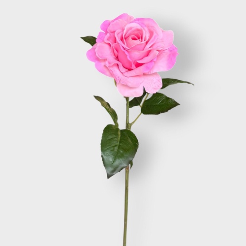 Juliette Rose FI11471HP