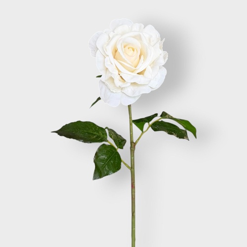 Juliette Rose FI11471IV