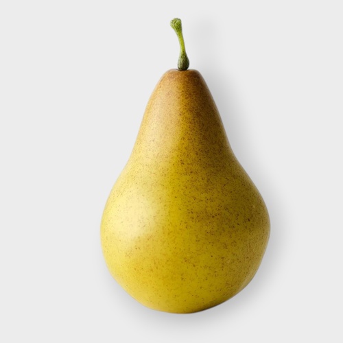 Pear Bartlett FI11481GR