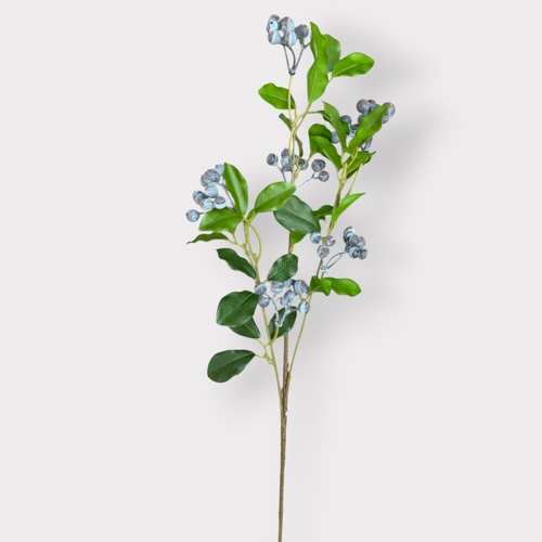 Blueberry Spray FI11490BL
