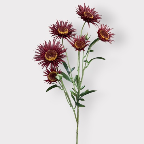 Daisy Spray FI11534BU