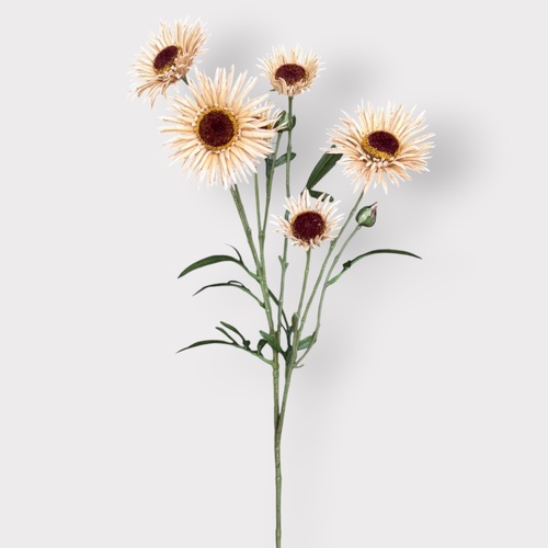 Daisy Spray FI11534IV