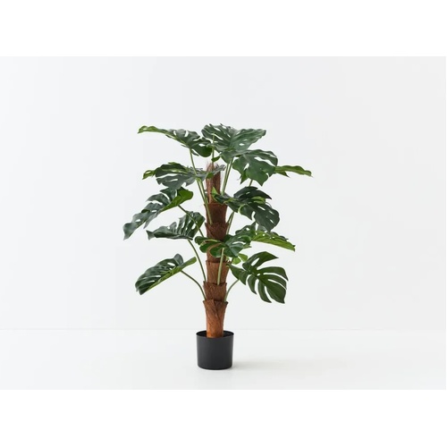 Monstera Plant on Pole FI11800GR