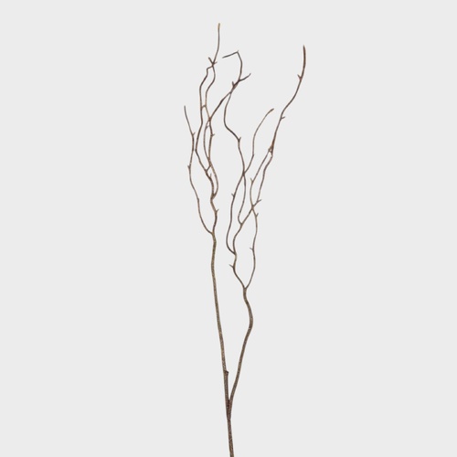 Twig Curly Spray FI11816BR