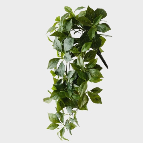Ivy Hanging Bush FI11824GR
