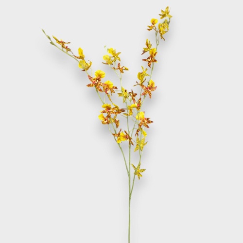 Orchid Oncidium Spray FI11847YE