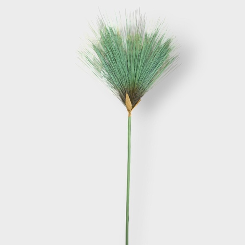 Papyrus Grass FI11881GR
