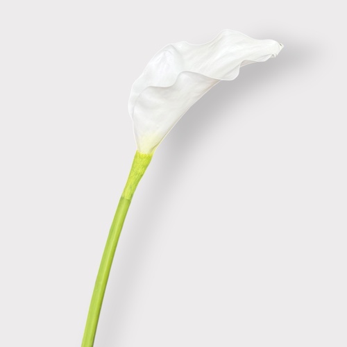 Calla Lily FI12305WH