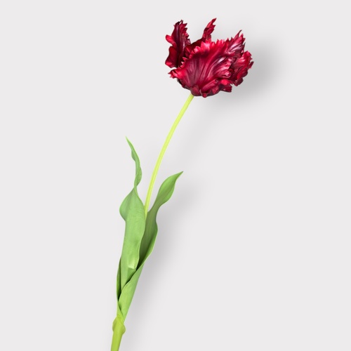 Parrot Tulip FI12311BU