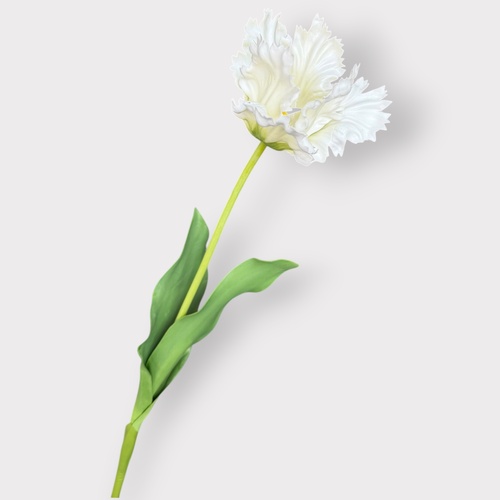 Parrot Tulip FI12311WH