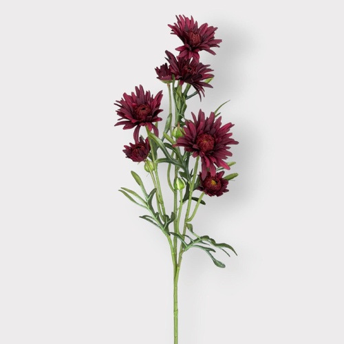 Gerbera Spray FI12706BU