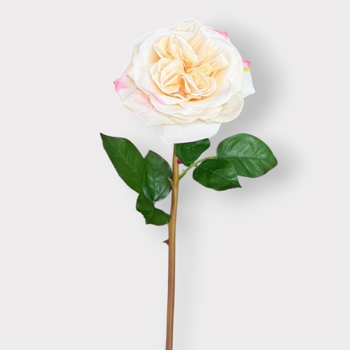 Florence Rose FI12840CR
