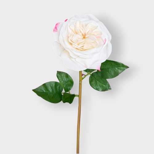 Florence Rose FI12840WH